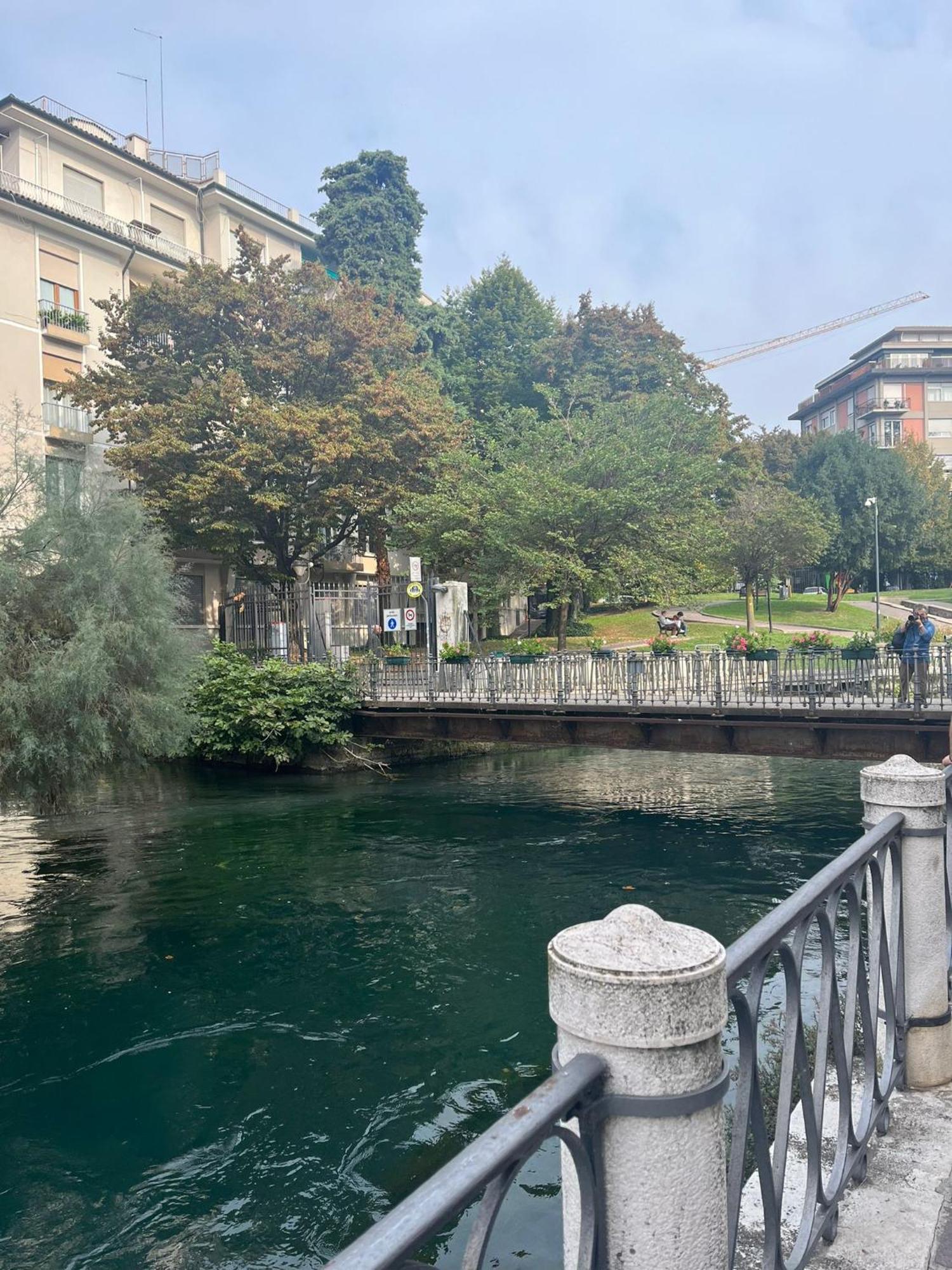 Margherita Treviso